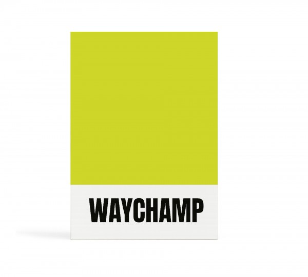 WAYCHAMP Socken Tester Professional - WT anerkannt