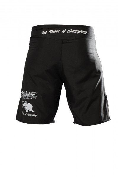 FIGHTNATURE MMA Shorts schwarz