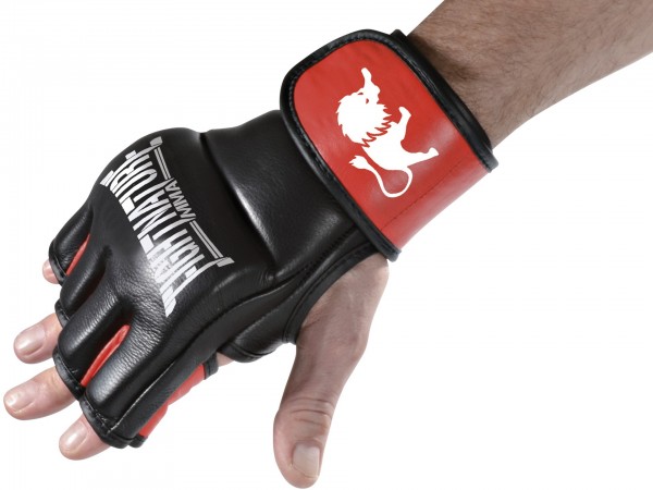 FIGHTNATURE MMA Handschuhe Leder